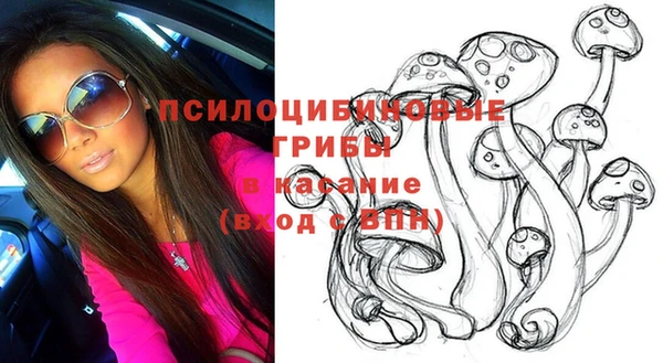 гашик Алексеевка