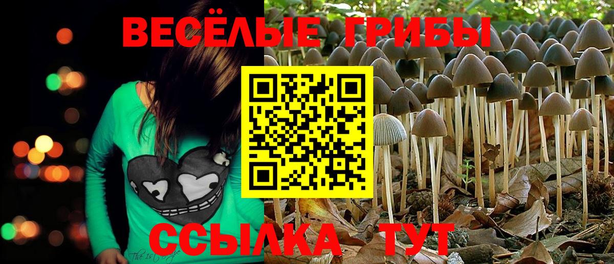 Псилоцибиновые грибы GOLDEN TEACHER  Псилоцибиновые грибы Psilocybine cubensis  Вход с VPN  Конаково 